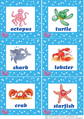 ocean animals flashcards for children