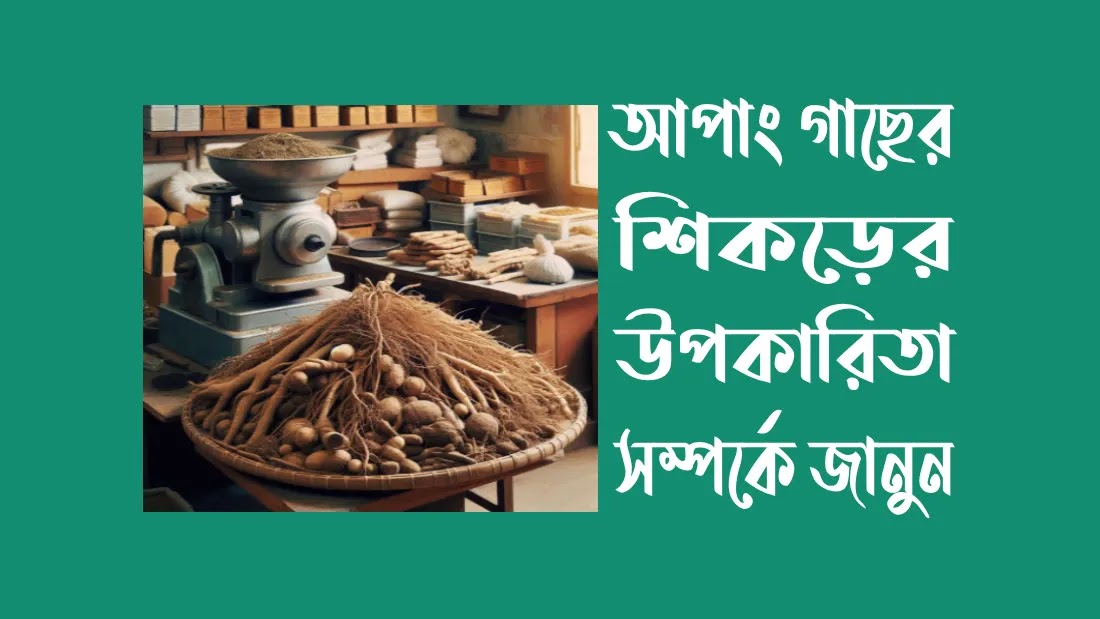 আপাং-গাছ