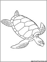 Coloring Turtles