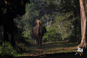 Nameri National Park, Assam, India