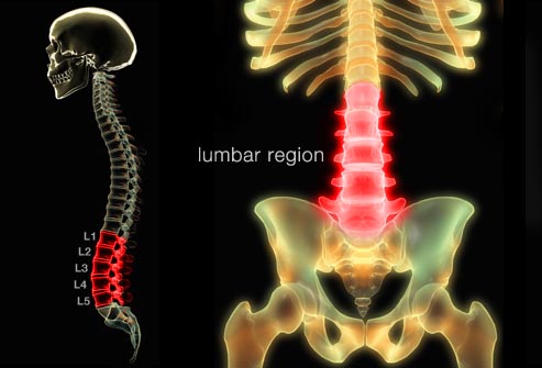 Deep Information About Lower Back Pain: Its Symptoms, Causes, Treatment (2020)