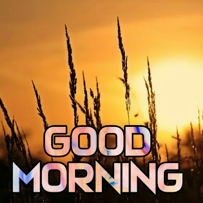 Images of Good Morning