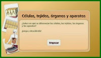 http://www.infantil.librosvivos.net/archivosCMS/3/3/16/usuarios/103294/9/5EP_Cono_ud1_184/frame_prim.swf