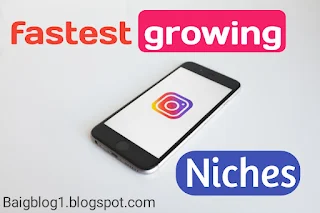 10+ fastest growing instagram niches in 2021