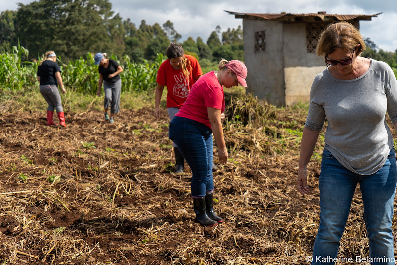 Sowing Corn Volunteering in Kenya with Freedom Global