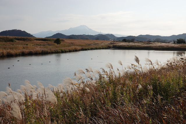 島根県安来市穂日島町 排水池 大山の眺望