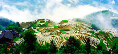 Complex rice terraces on a mountaintop in southern China.