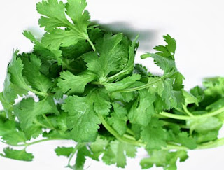 cilantro have similar flavor profiles, but they are not identical.