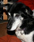 Dottie