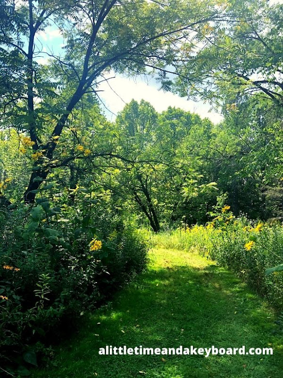 Wandering the countryside at Lynden Sculpture Park