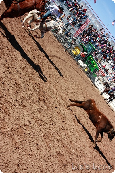 Rodeo 2010 (128 of 282)