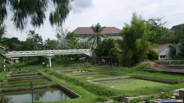 Jembatan Fakultas Pertanian UGM