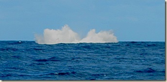 056_thumb2