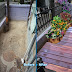 Travaux en cours 2 : terrasse et jardiniere devant la maison