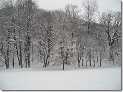 SAM_0369