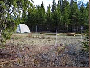 Kluane Lake YT21-25 May 2018