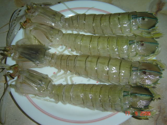 ^^ kisah seorang lelaki ^^: MENJAMAH UDANG LIPAN.