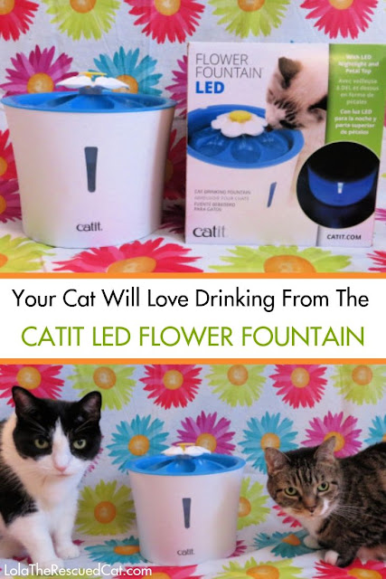 Catit|LED Flower Fountain