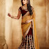 Outstanding Bridal Lehenga Choli and Lehenga Saree Designs 2014