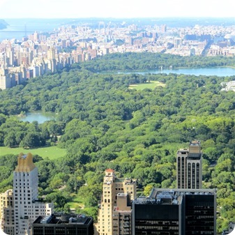 Top of the Rock