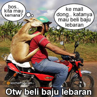 Gambar Meme DP BBM Belum Beli Baju Lebaran Lucu 100% Gokil 