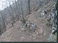 SAM_0254