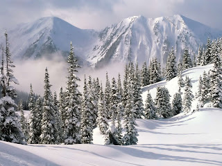 Nature Desktop Wallpaper Winter 3