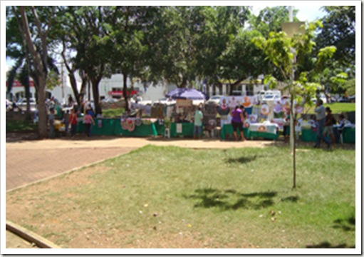 DSC05213
