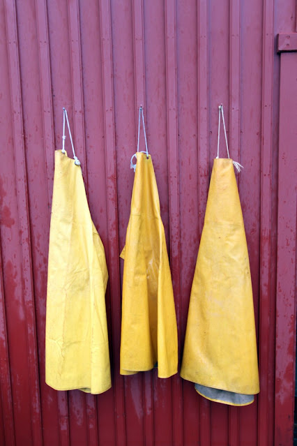 Siglufjordur-Museo dell'aringa