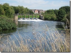 River Tame