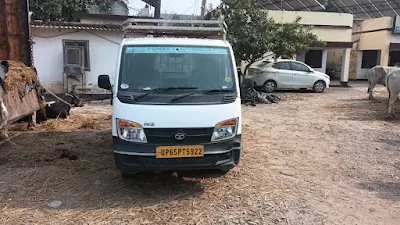 अलीनगर पुलिस : 01 टाटा मैजिक पर वध हेतु ले जाये जा रहे 03 राशि गोवंश किया बरामद, 03 गौ-तस्कर गिरफ्तार