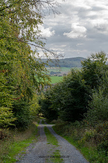 Naturfotografie Waldfotografie Weserbergland Olaf Kerber