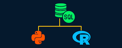 Programming Language for Data Science