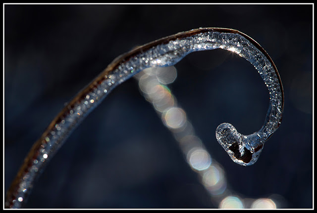 Nova Scotia; Ice Storm; Ice; Petite Riviere