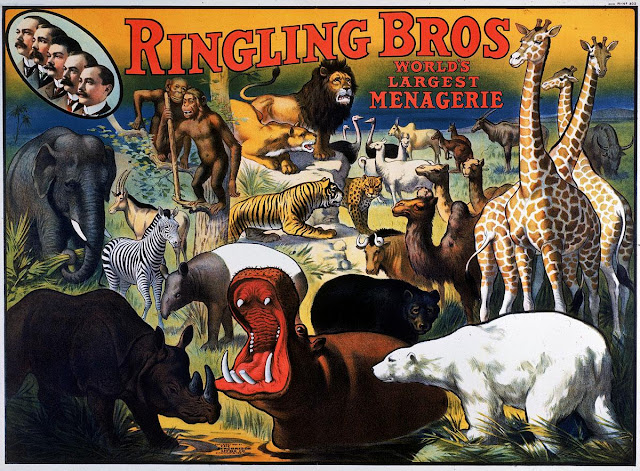This 1909 poster advertises the Ringling Bros. circus as having the "world's largest menagerie".  The illustration features profile portraits of the five Ringling Brothers (at upper left), (AL FENN/THE LIFE IMAGES COLLECTION/GETTY)