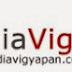2014 Indiavigyapan review