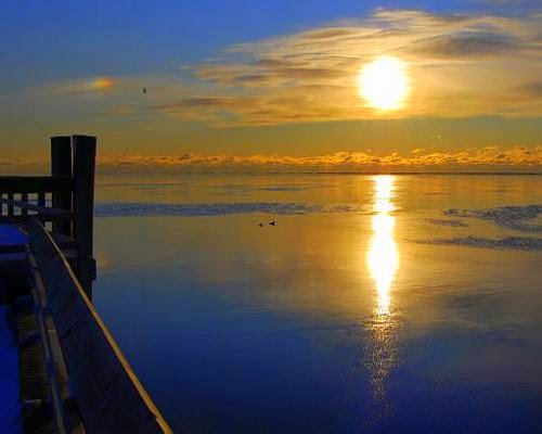 Ad Energy Unveils Affordable Solar Purchase Options For Long Island Homeowners