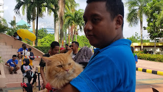 Batam cat lovers