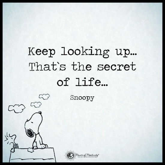 Keep Looking Up That S The Secret Of Life Snoopy Quote The Best Quotes Picture