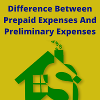 Prepaid Expenses And Preliminary Expenses