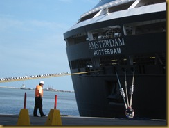 Seagulls at the stern