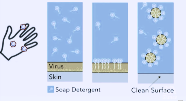 the science of soap