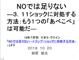 http://1am.sakura.ne.jp/Chernobyl/181020presenTanpopo.pdf