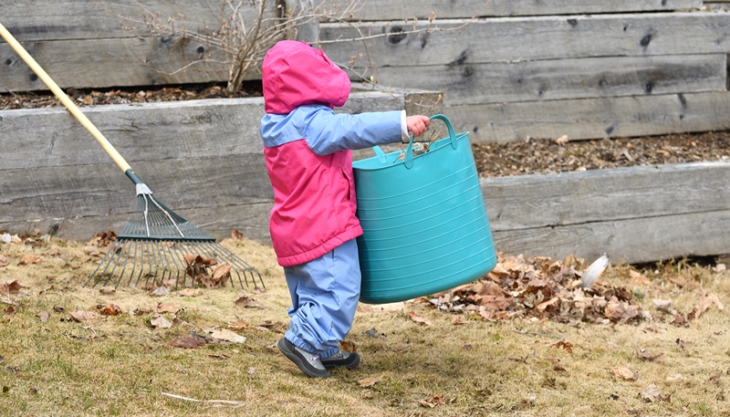 Montessori toddlers. Maximum Effort. Toddler carrying leaves