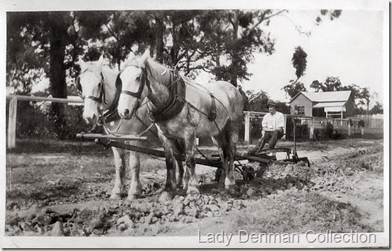 Harold-Parnell-preparing-road-surface-at-Huskisson