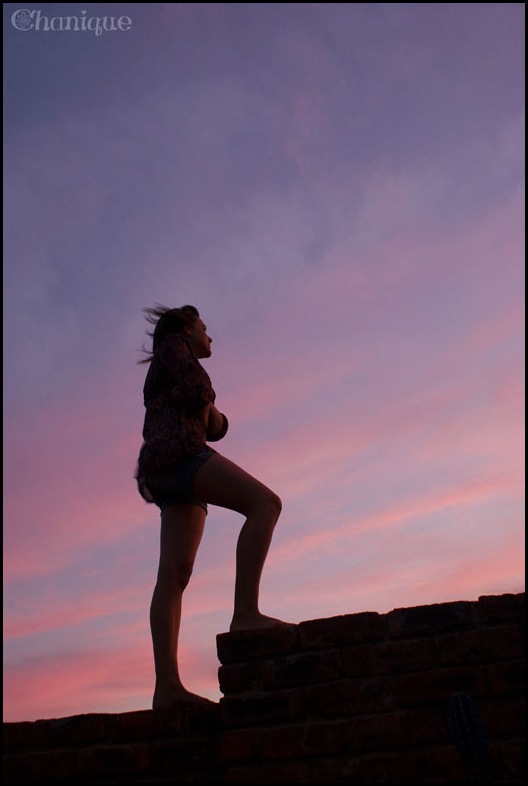 SONY DSC
