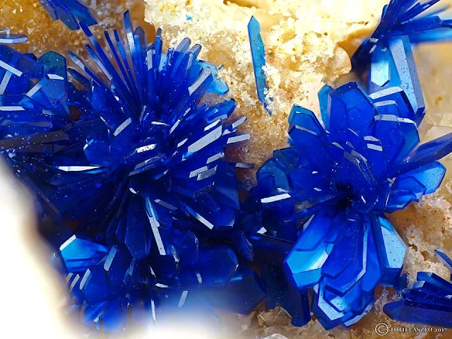 Azurite Flowers in Vug