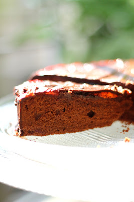 cake with apricot glaze and chocolate frosting