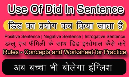 use of did in sentence in hindi