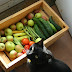 Vegetables Your Cat Can Eat